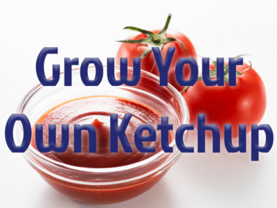 Grow Your Own Ketchup Challenge